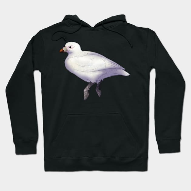 Cozy Sheathbill Hoodie by Phoenix Baldwin